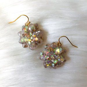 Mini Succulent Earrings-Rainbow Disco